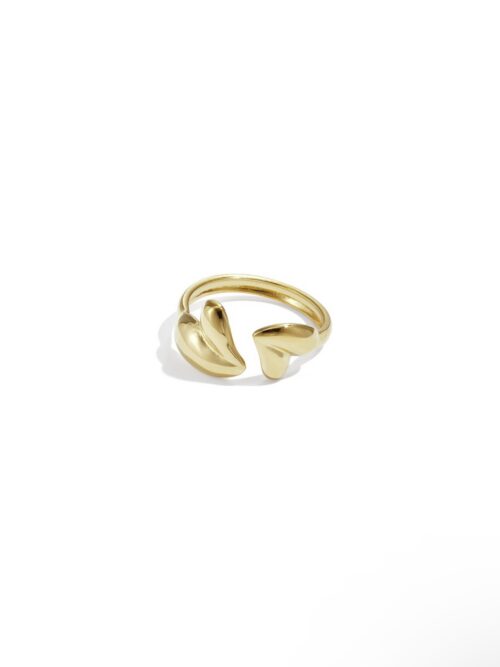 Ring met hartjes