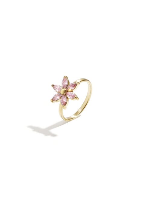 Zirkonium Ring