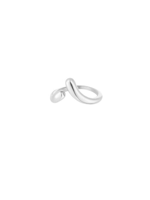 Zilver Ring