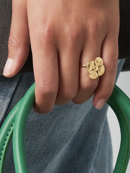 Ring luxe Cover