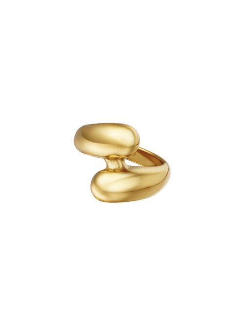 Wikkel Ring